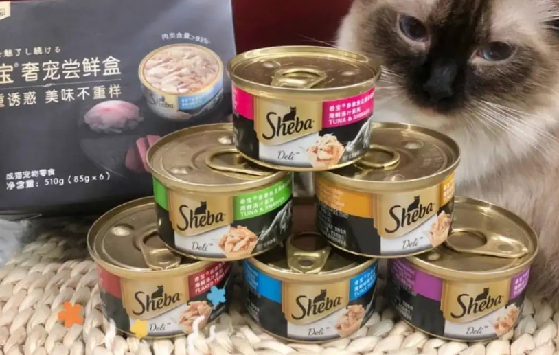 珍致和希宝猫罐头哪个好 珍致和希宝猫罐头哪个好