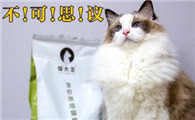 猫大圣烘焙猫粮怎么样
