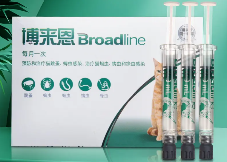 博来恩多少钱一支