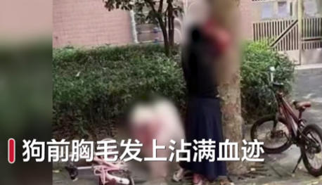 主人被自家宠物狗严重咬伤 鲜血淋淋让人唏嘘：你还敢养狗吗？