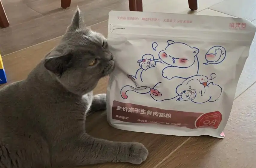 喵梵思流浪猫猫粮怎么打开 喵梵思流浪猫猫粮怎么打开