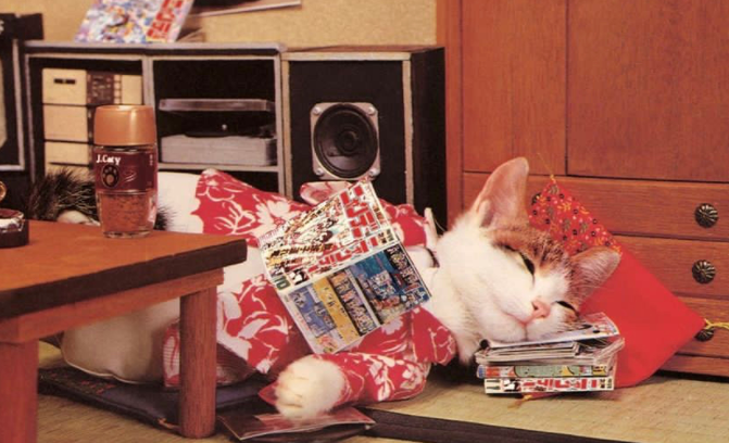 捡了4只小奶猫，却意外靠它们赚了几十亿…这是捡了财神爷啊