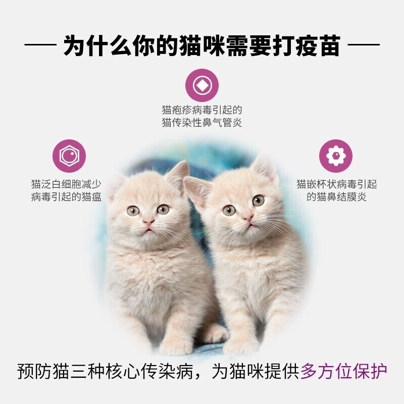 猫三联和妙三多区别在哪儿-宠物网