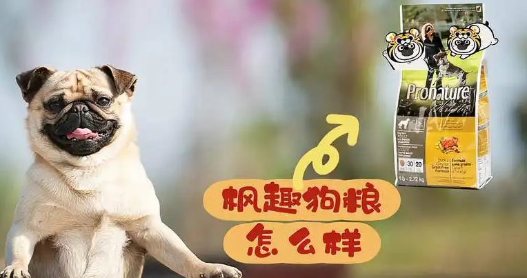 枫趣狗粮如何开袋 枫趣狗粮如何开袋