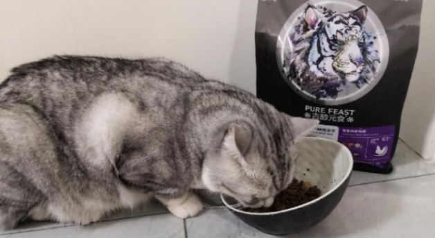 猫乐适和发育宝猫粮哪个好