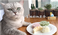 料理猫王是中国的吗