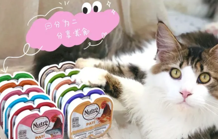 美士猫罐头如何辨别真伪 美士猫罐头如何辨别真伪