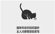 猫为啥吃猫砂
