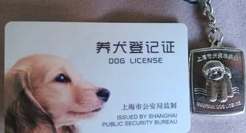 不办理狗证在家养违法吗 不办理狗证在家养违法吗