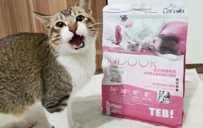 汤恩贝a7猫粮怎么样好不好 汤恩贝a7猫粮怎么样好不好