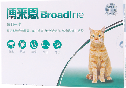 博来恩驱虫药被猫舔了怎么办 博来恩驱虫药被猫舔了怎么办