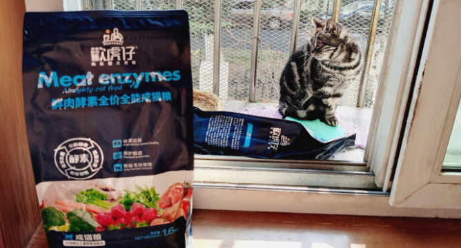 混主食冻干掀起喂养热潮,欢悦猫粮主食再添实力新品 混主食冻干掀起喂养热潮,欢悦猫粮主食再添实力新品