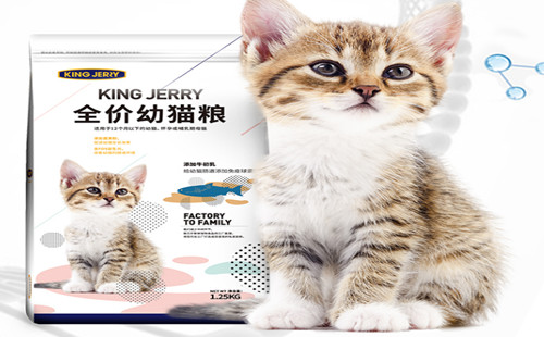kingjerry