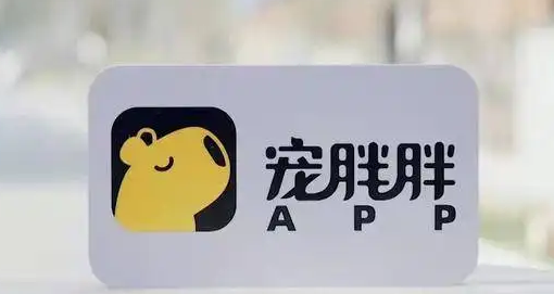 宠胖胖App商家如何入驻 宠胖胖App商家如何入驻