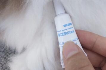 普安特驱虫药效果怎么样 普安特驱虫药效果怎么样