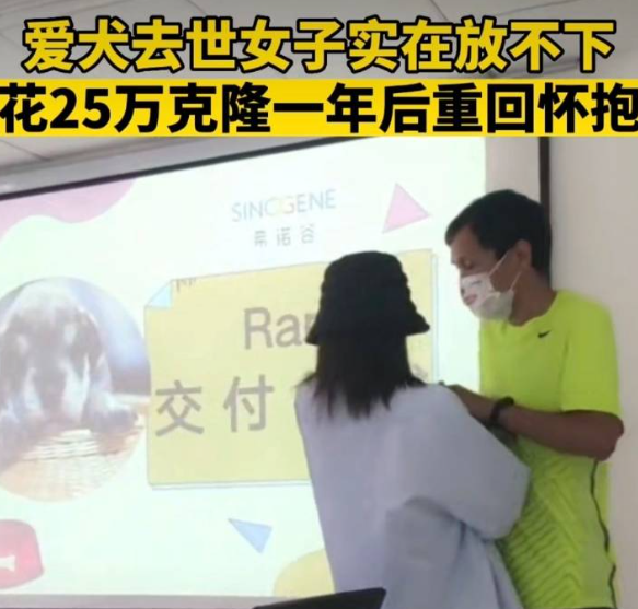 女子花25万克隆去世宠物狗引热议 实在放不下:克隆动物你能接受? 女子花25万克隆去世宠物狗引热议 实在放不下:克隆动物你能接受?