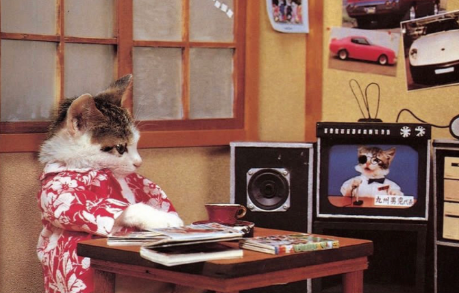 捡了4只小奶猫，却意外靠它们赚了几十亿…这是捡了财神爷啊