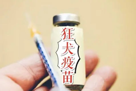10种情况不需要打狂犬疫苗