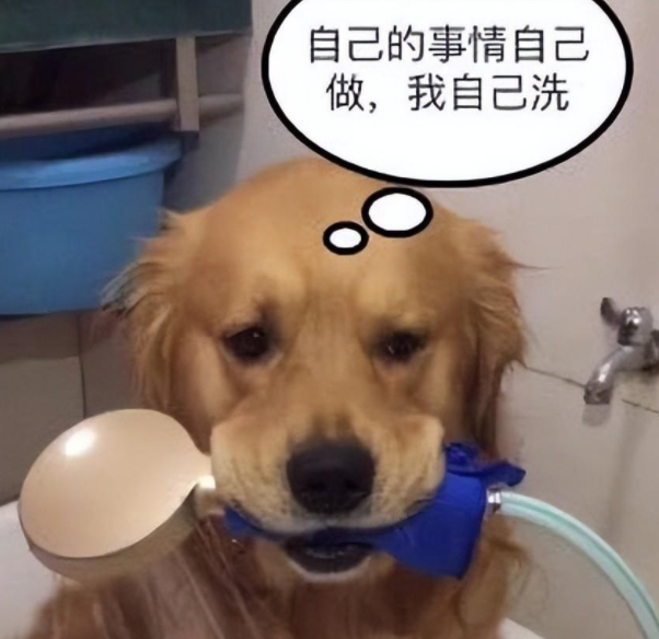 金毛给自己放水洗澡,洗到一半意外发生了,铲屎官笑得直跺脚 金毛给自己放水洗澡,洗到一半意外发生了,铲屎官笑得直跺脚
