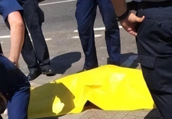 狗狗热天被带出门，半路上中暑了主人还不知道，一个举动酿成大错