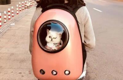 猫咪在太空舱猫包里让上高铁吗? 猫咪在太空舱猫包里让上高铁吗?