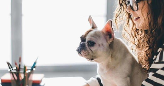 幼犬有狂犬病毒吗