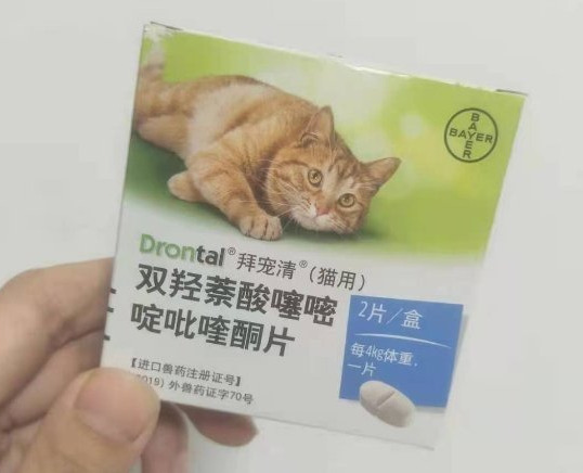 拜宠清:猫咪体内驱虫药选择指南 拜宠清:猫咪体内驱虫药选择指南