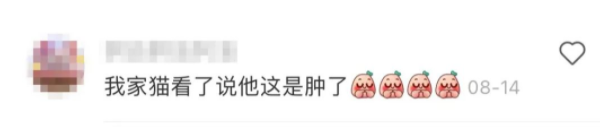 猫咪因一张“巨蛋照”封神!网友:口水擦擦,赶紧趁机颠两把… 猫咪因一张“巨蛋照”封神!网友:口水擦擦,赶紧趁机颠两把…