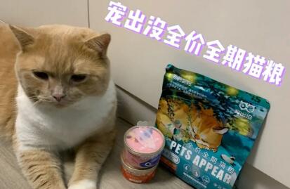 宠出没猫粮属于什么档次 宠出没猫粮属于什么档次