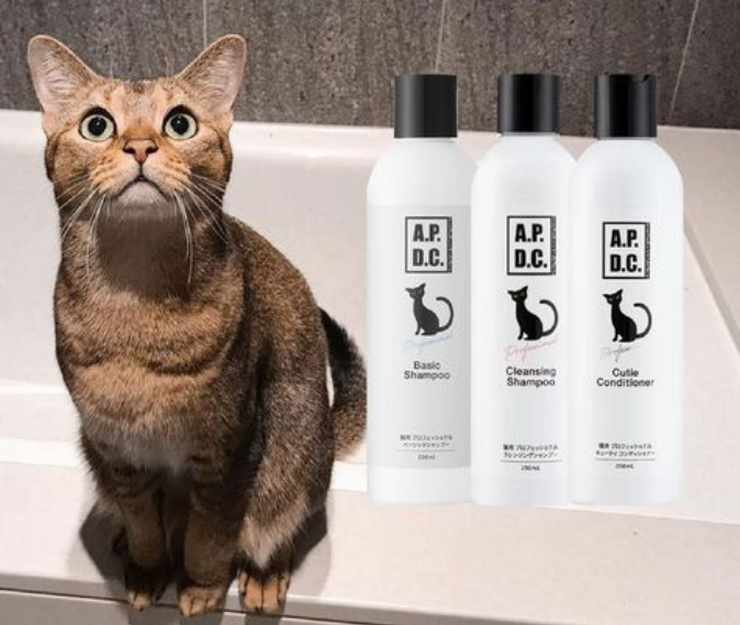 宠物洗护| apdc猫咪专用洗护,蓬松又清爽 宠物洗护| apdc猫咪专用洗护,蓬松又清爽