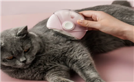 吐毛球对猫有什么影响吗