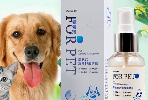 狗皮肤痒的厉害,吃什么药最好 狗皮肤痒的厉害,吃什么药最好