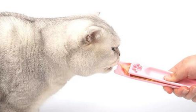 萌宠出动猫条是毒猫条吗-宠物网