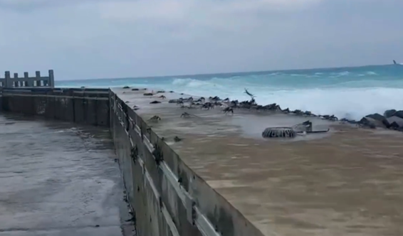 台风纳沙逼近!海南有螃蟹被吹上码头:大自然的馈赠来了 台风纳沙逼近!海南有螃蟹被吹上码头:大自然的馈赠来了