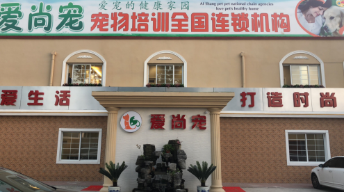 爱尚宠培训好不好