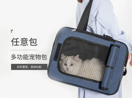 宠觅是哪个国家的品牌 宠觅是哪个国家的品牌