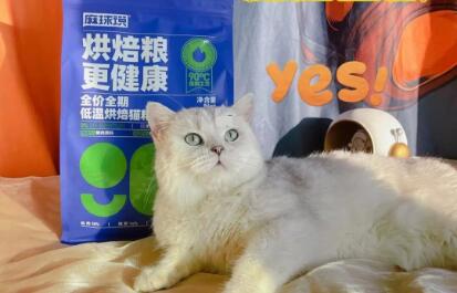 麻球说猫粮缺货吗