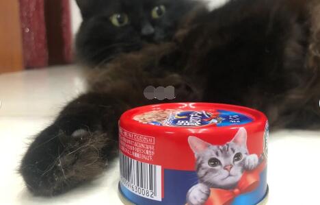 日本佳乐滋猫罐头为什么断货