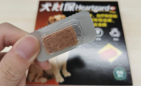 驱虫药的硬科普|犬心保或成铲屎官心头爱