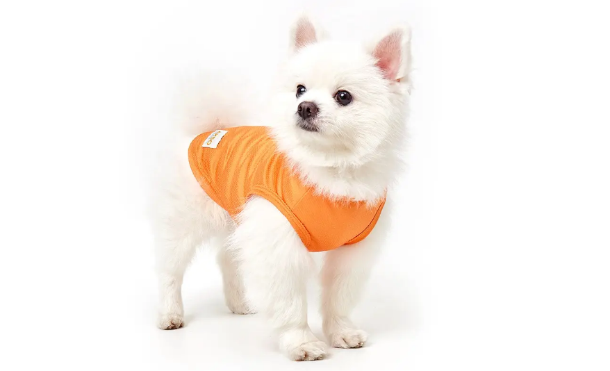 ispet宠物服装怎么样