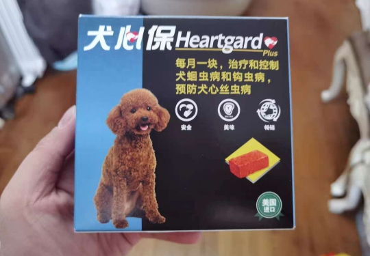 犬心保防治结合，科学健康