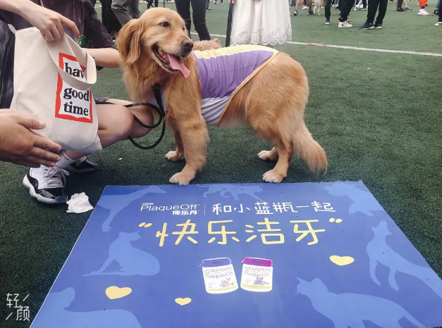 全国第31个爱牙日，和Proden博乐丹小蓝瓶一起“快乐洁牙”