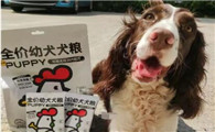 拙极狗粮属于什么档次