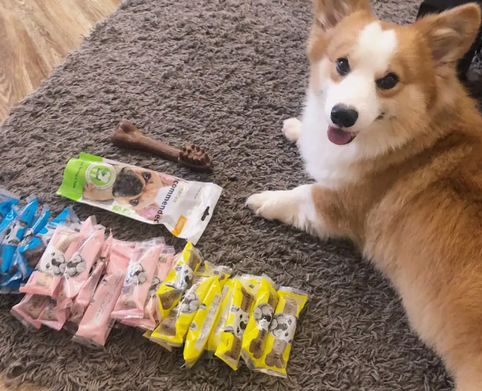 亚禾YaHo一款适合大众档次的宠物用品品牌