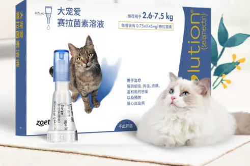 大宠爱怎么样?这款驱虫更周到 大宠爱怎么样?这款驱虫更周到