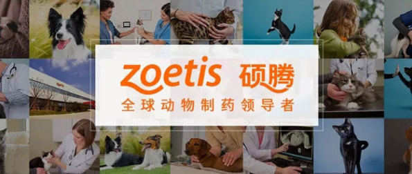 大宠爱生产商硕腾宣布收购宠物遗传科技领先公司Basepaws 大宠爱生产商硕腾宣布收购宠物遗传科技领先公司Basepaws