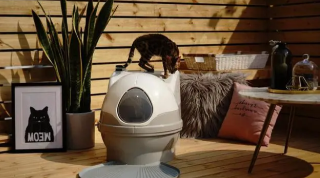 猫洁易智能猫厕所让你不用再碰触到喵的大小便,从此解放双手! 猫洁易智能猫厕所让你不用再碰触到喵的大小便,从此解放双手!