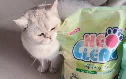 天净猫砂好还是n1好 天净猫砂好还是n1好