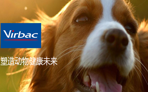 维克Virbac