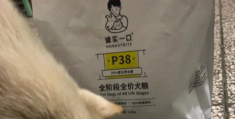 久生猫粮和诚实一口哪个好 久生猫粮和诚实一口哪个好